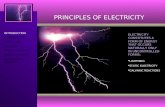 PRINCIPLES OF ELECTRICITY INTRODUCTION TERMINOLOGY OHM’S LAW CIRCUITS POWER & ENERGY DIRECT CURRENT ALTERNATING CURRENT ELECTRICITY CONSTITUTES A FORM.