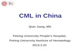 CML in China Qian Jiang, MD Peking University People's Hospital, Peking University Institute of Hematology 2013-2-22.