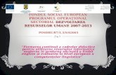 DEZVOLTAREA RESURSELOR UMANE 2007-2013 INVESTEŞTE ÎN OAMENI ! FONDUL SOCIAL EUROPEAN PROGRAMUL OPERAŢIONAL SECTORIAL DEZVOLTAREA RESURSELOR UMANE 2007-2013.
