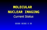 MOLECULAR NUCLEAR IMAGING 성균관의대 핵의학교실 이 경한 Current Status.