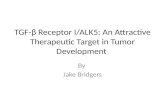 TGF-β Receptor I/ALK5: An Attractive Therapeutic Target in Tumor Development By Jake Bridgers.