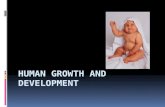 Four areas of human development:  Physical  Cognitive  Motor or skills development  Social development  Don’t write down..on next slides coming…