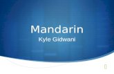 Mandarin Kyle Gidwani. Introduction 中文 is a language most commonly spoken in China. 普通话.