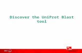 Discover the UniProt Blast tool. Murcia, February, 2011Protein Sequence Databases Customize the BLAST results.