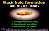 嶺重 慎 ( 京大・基礎研 ) Black hole formation 1. Astrophysical black holes 2. Formation of black holes 3. Evolution of black holes Ref: Proc. Carnegie sympo. on.