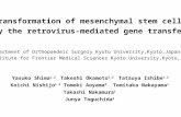 Transformation of mesenchymal stem cells by the retrovirus-mediated gene transfer 1 Department of Drthopaedeic Surgery Kyoto University,Kyoto,Japan 2 Institute.