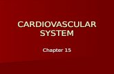 CARDIOVASCULAR SYSTEM Chapter 15. OVERVIEW BASIC FUNCTION: Bulk Transport BASIC FUNCTION: Bulk Transport –Move nutrients and gases to tissue areas  Nutrients.