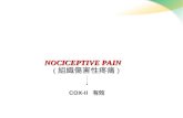 NOCICEPTIVE PAIN ( 組織傷害性疼痛 ) COX-II 有效. Sharpening- 尖銳痛 Prickling- 酥麻痛 Scrawling- 蟻爬感 Lightening- 閃電痛 Tingling- 墊墊的痛 Burning- 燒灼感