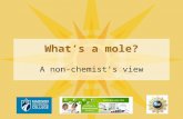 What’s a mole? A non-chemist’s view. A mole tells us “how many?” You know what your neighbor means when they ask to borrow a dozen eggs- -they want twelve.