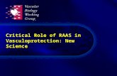 Critical Role of RAAS in Vasculoprotection: New Science.