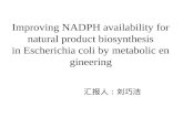 Improving NADPH availability for natural product biosynthesis in Escherichia coli by metabolic engineering 汇报人：刘巧洁.