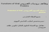 وظائف بروتينات الفيروس Functions of Viral Proteins - I حماية الجينوم الفيروسي Protection of Viral genome - تجمع الغطاء الخارجي