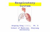 Respiratory System Shiping Ding ( 丁世萍 ), Ph. D School of Medicine, Zhejiang University.
