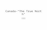 Canada-“The True North" 词汇篇. Read the words and expressions on P99. Follow the tape the first time and then read it on yourself.