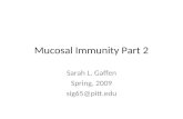 Mucosal Immunity Part 2 Sarah L. Gaffen Spring, 2009 sig65@pitt.edu.
