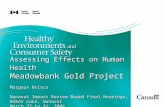 Assessing Effects on Human Health Meadowbank Gold Project Margaux Brisco Nunavut Impact Review Board Final Hearings, Baker Lake, Nunavut March 27 to 31,