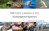 M8-U22-Lesson 2 (1) Endangered Species 寿县安丰高中高二英语教研组.