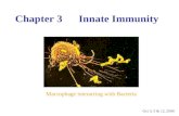 Chapter 3 Innate Immunity Oct 3, 5 & 12, 2006 Macrophage interacting with Bacteria.
