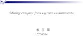 Mining enzymes from extreme environments 熊 玉 翠 10708054.