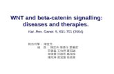 WNT and beta-catenin signalling: diseases and therapies. Nat. Rev. Genet. 5, 691-701 (2004) 報告同學 : 陳宜芳 組 員 : 陳宜芳 陳彥任 葉儀君 莊健盈 王怡婷 黃冠誠