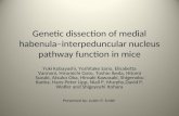Genetic dissection of medial habenula–interpeduncular nucleus pathway function in mice Yuki Kobayashi, Yoshitake Sano, Elisabetta Vannoni, Hiromichi Goto,