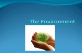 Environment What is the environment?  The natural environment encompasses all living & and non-living things.