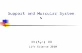 Support and Muscular Systems Life Science 2010 鄭先祐 (Ayo) 製作.