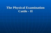 The Physical Examination Cattle - II. Procedures.