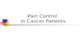Pain Control in Cancer Patients. MScontin 10mg MScontin 30mg Oxycontin 10mg Oxycontin 40mg.