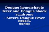 Dengue hemorrhagic fever and Dengue shock syndrome - Severe Dengue Fever 奇美醫學中心楊俊杰醫師.