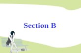 Section B 讲授新课 复习旧课 Direct speech indirect speech 一般现在时 一般过去时 现在进行时 过去进行时 复习直接引语变间接引语.