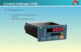 1 Control Indicator R30 R30 Appearance Four material batching indicator ： R30.20 Specially for batching control.
