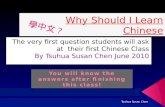 學中文？ Tsuhua Susan Chen  Mastering Chinese will open up your window to the world  Mastering Chinese will open up your window of opportunities (both.