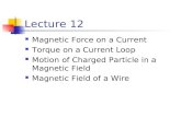Lecture 12 Magnetic Force on a Current Torque on a Current Loop Motion of Charged Particle in a Magnetic Field Magnetic Field of a Wire.