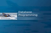 Database Programming. 2 Contents n Overview (Architecture) n Problems n DB 와의 연결 방식 n Middleware Architecture –ODBC, JDBC, Perl DB n Programming Examples.