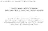Gamma-Band Activation Predicts Both Associative Memory and Cortical Plasticity Drew B. Headley and Norman M. Weinberger Center for the Neurobiology of.