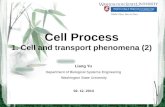 Cell Process 1. Cell and transport phenomena (2) Liang Yu Department of Biological Systems Engineering Washington State University 02. 12. 2013.