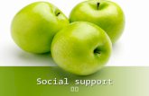 Social support 汪苗. Main content scales 1 type 2 Related conception 3 Influencing factors 4.