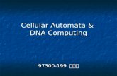Cellular Automata & DNA Computing 97300-199 우정철. Definition Of Cellular Automata Von Von Neuman’s Neuman’s Definition Wolfram’s Wolfram’s Definition Lyman.