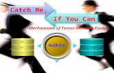Catch Me, --Mechanisms of Tumor Immune Escape maker 李龙 商亮 孙健 宋春艳 郁舒靓 李丽丽 If You Can.
