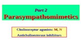 Part 2 Parasympathomimetics Cholinoceptor agonists: M, N Anticholinesterase inhibitors.