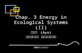 Chap. 3 Energy in Ecological Systems (II) 鄭先祐 (Ayo) 國立台南大學 環境與生態學院 2008 年 2 月至 6 月.