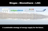Future Innovations from International Cooperations Biogas - Biomethane - LNG A sustainable strategy of energy supply for the future.