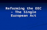 Reforming the EEC – The Single European Act. Review Main problems encountered by the EEC in 1970s? External vs. internal, Decision-making… Main problems.