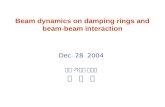 Beam dynamics on damping rings and beam-beam interaction Dec. 28 2004 포항 가속기 연구소 김 은 산.