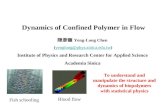 Dynamics of Confined Polymer in Flow 陳彥龍 Yeng-Long Chen (yenglong@phys.sinica.edu.tw)yenglong@phys.sinica.edu.tw Institute of Physics and Research Center.