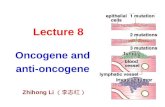 Lecture 8 Oncogene and anti-oncogene Zhihong Li （李志红）