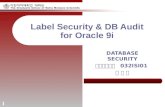 1 Label Security & DB Audit for Oracle 9i DATABASE SECURITY 정보보호학과 032ISI01 김 정 수.