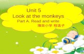 Unit 5 Look at the monkeys Part A. Read and write 璜田小学 程选子.