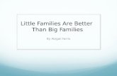 By Abigail Farris Little Families Are Better Than Big Families.